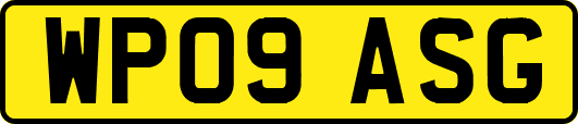 WP09ASG