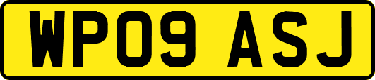 WP09ASJ