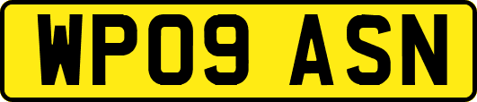 WP09ASN