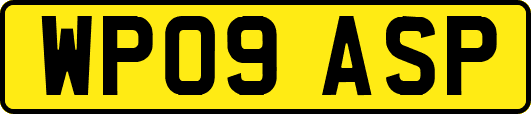WP09ASP