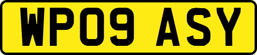 WP09ASY