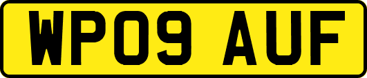 WP09AUF