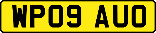WP09AUO