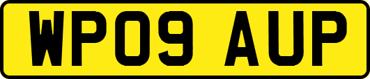 WP09AUP