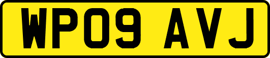 WP09AVJ
