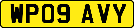 WP09AVY