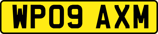 WP09AXM
