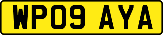 WP09AYA