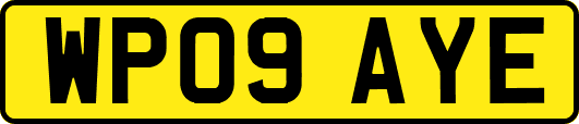 WP09AYE
