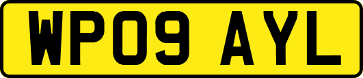 WP09AYL