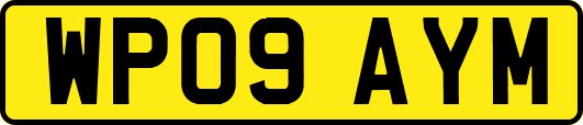 WP09AYM