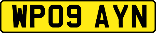 WP09AYN