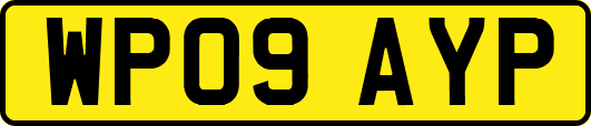 WP09AYP