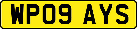 WP09AYS