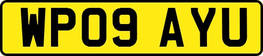 WP09AYU