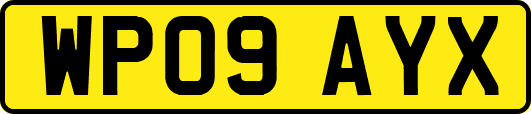 WP09AYX