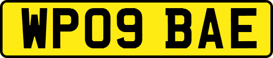 WP09BAE