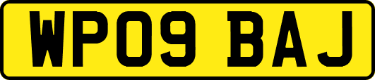 WP09BAJ