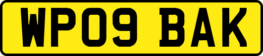 WP09BAK