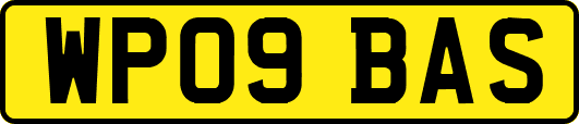 WP09BAS