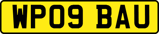 WP09BAU