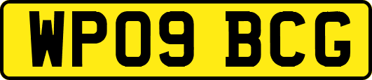 WP09BCG