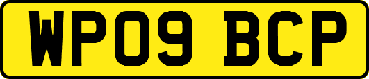 WP09BCP