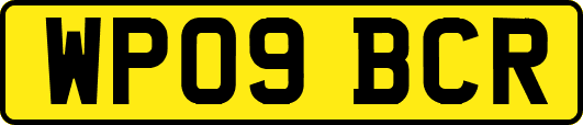 WP09BCR