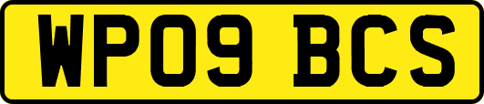 WP09BCS