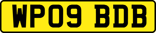 WP09BDB