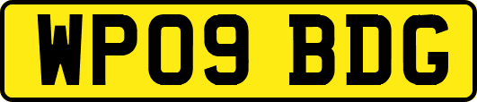 WP09BDG