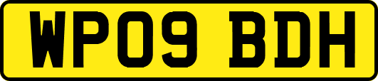 WP09BDH