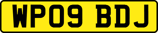 WP09BDJ