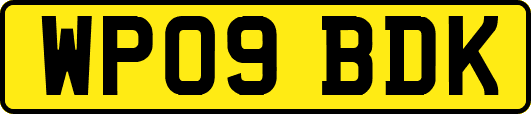 WP09BDK