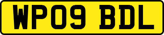 WP09BDL