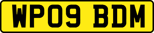 WP09BDM