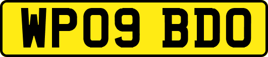 WP09BDO