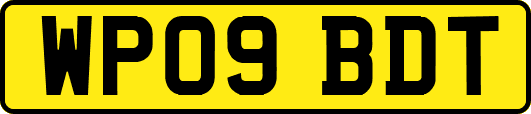 WP09BDT