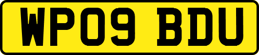WP09BDU