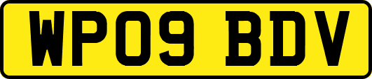 WP09BDV
