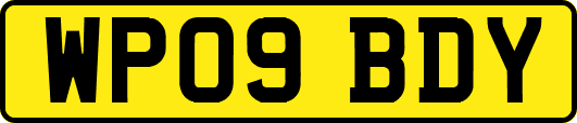 WP09BDY