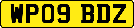 WP09BDZ