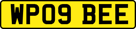 WP09BEE