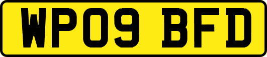 WP09BFD