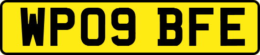 WP09BFE