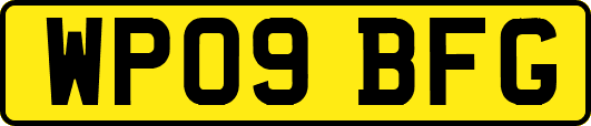 WP09BFG