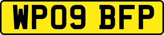 WP09BFP