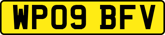WP09BFV