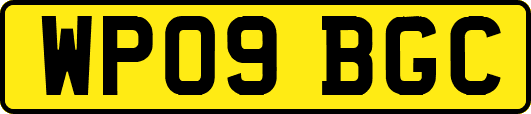 WP09BGC