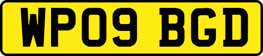 WP09BGD